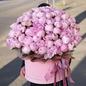 Букет "Зефир" №204