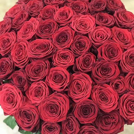 51 красная роза  Премиум с лентой - Фото 1