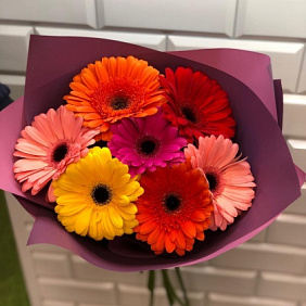 Герберы в упаковке