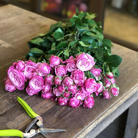 Букет цветов Поцелуй №165 - Фото 1