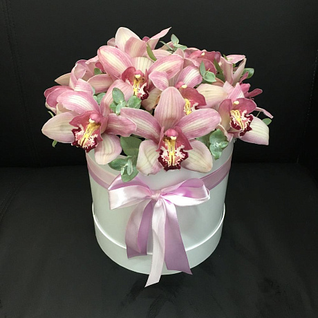 11 орхидей в белой шляпной коробке - Фото 1