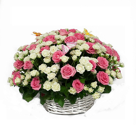 Букет из 25 белых и розовых роз в плетённой корзине - Фото 1