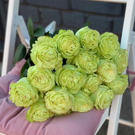 Монобукет 19 зеленых роз 60см - Фото 1