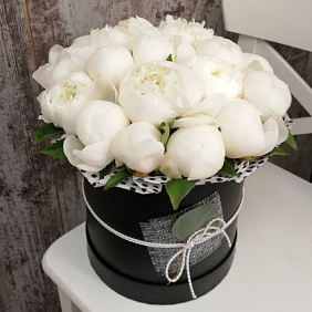 19 пионов в черной шляпной коробке