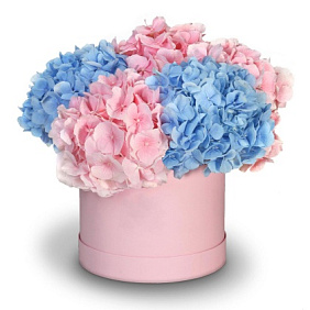 5 Гортензий в розовой шляпной коробке