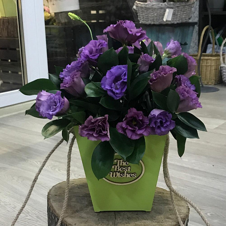 Букет цветов Луиза №169 - Фото 1