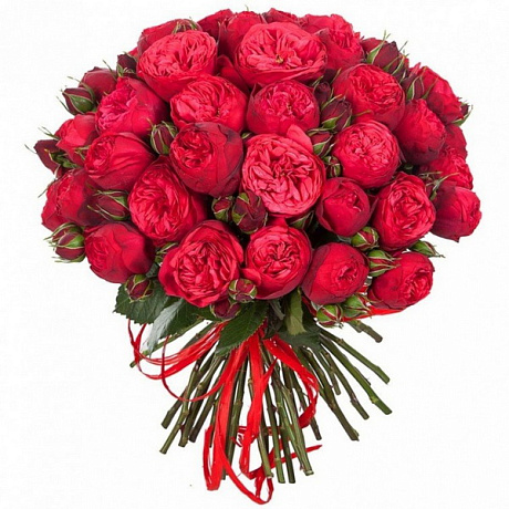 Букет из 29 пионовидных роз Ред Пиано - Фото 1
