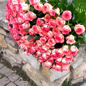 Букет из 101 розы Джумелия