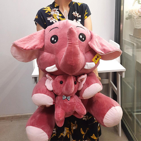 Букет цветов Розовый слон - Фото 1