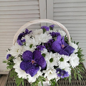 Корзина с Вандой №2