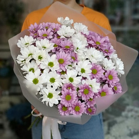 Хризантемы Бакарди
