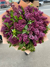 Букет роскошный из сирени