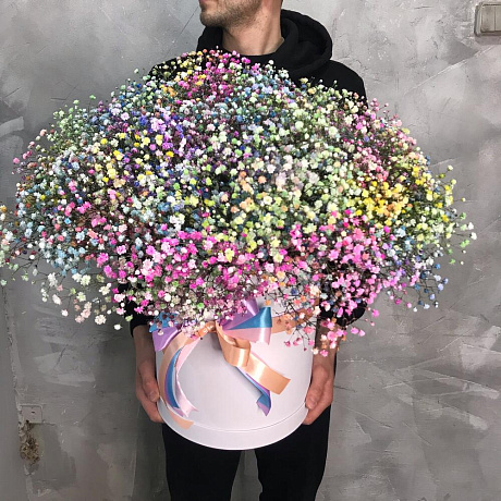 Радужный гифсофила в шляпные каробке - Фото 1