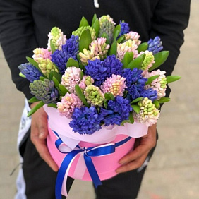 Гиацинт в коробке