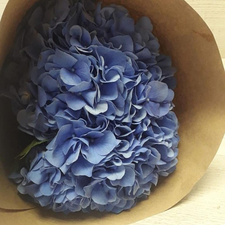 Букет из гортензий №172 - Фото 1