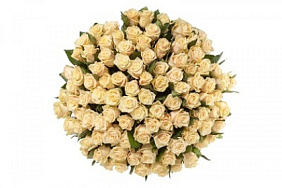 101 кремовая роза 60 см.