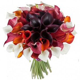 101 красная калла