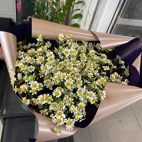 Букет Ромашки №213 - Фото 1