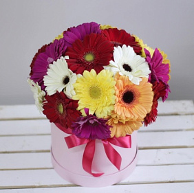 7 гербер в маленькой белой шляпной коробке №682