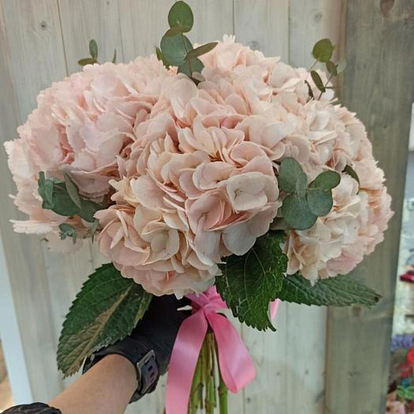 Букет из гортензии №188 - Фото 1