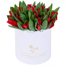 25 красных тюльпанов в белой коробке шкатулке с рафаэлло №451