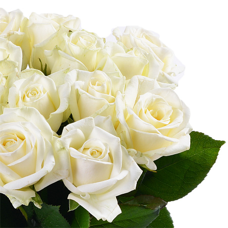 Букет из 25 белых роз 40 см №160 - Фото 1