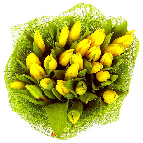 25 желтых тюльпанов - Фото 1