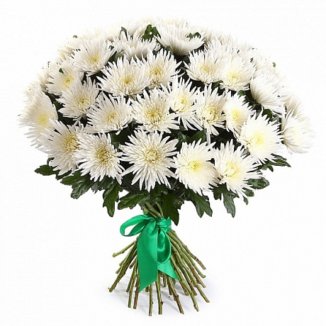 35 белых одноголовых хризантем - Фото 1