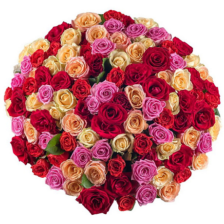 Букет из 151 разноцветной розы - Фото 1