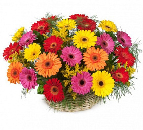 Герберы в корзине "Пожелание удачи"