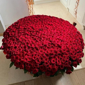 Корзина из 501 красной розы