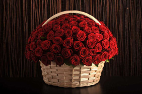 151  красная роза премиум в корзине (VIP)