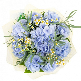 Красивый букет из гортензии и ромашек