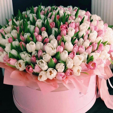 Красивая коробка с 101 тюльпаном - Фото 1