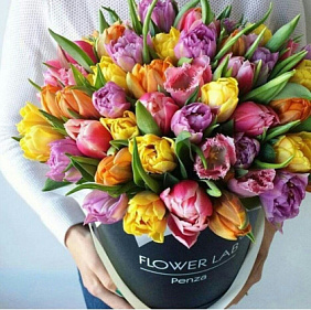 59 тюльпанов микс в большой черной шляпной коробке №518