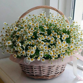Корзина с ромашками №165
