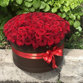 101 роза в шляпной коробке №160