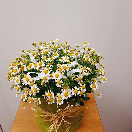 Композиция цветов в шляпной коробке Ромашки - Фото 1
