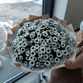 Сантини №164