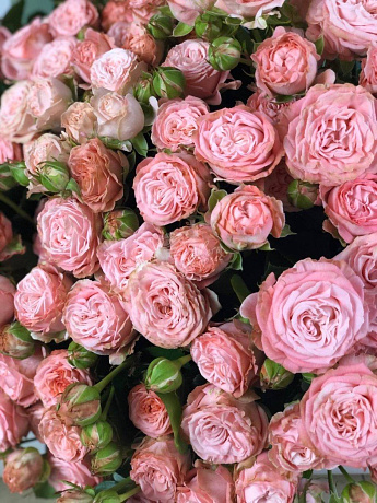 11 розовых пионовидных роз Бомбастик в деревянной шляпной коробке № 810 - Фото 1