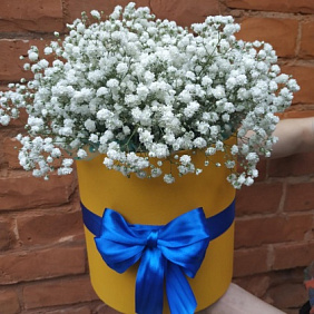 Композиция из гипсофилы «Белая зефирка»