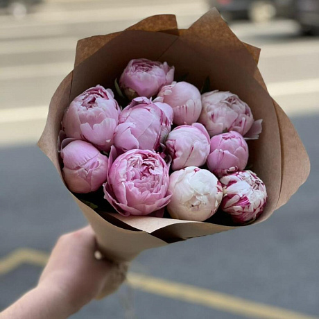 Пион Сара Бернар №165 - Фото 1