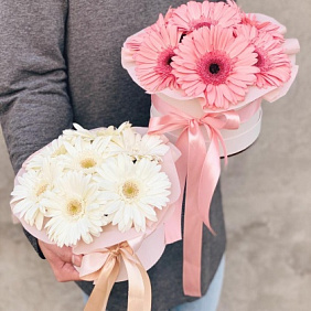 Шляпная коробка из 7 гербер