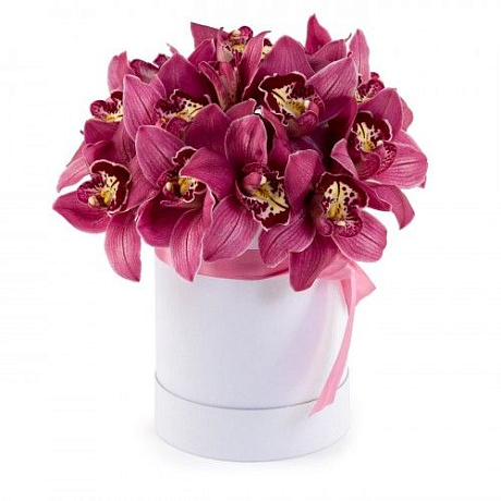 Букет 17 орхидей Цимбидиум в средней шляпной коробке