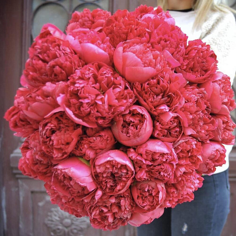 Букет пионов №160 - Фото 1