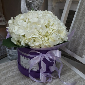 3 Белые Гортензии в розовой шляпной коробке