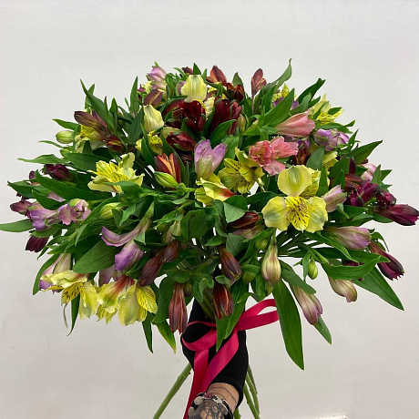 21 Альстромерия - Фото 1