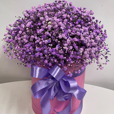Цветы в коробке (гипсофила фиолетовая) - Фото 1
