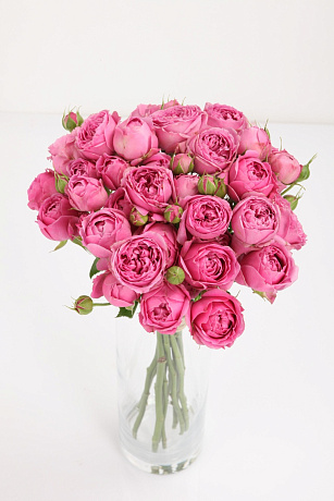 Букет из 17 розовых кустовых пионовидных роз - Фото 1