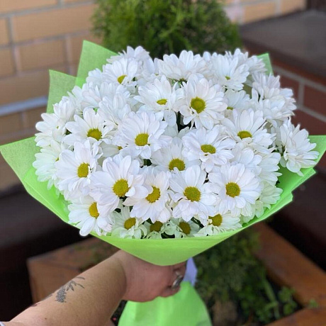 Букет цветов Ромашки на поле - Фото 1